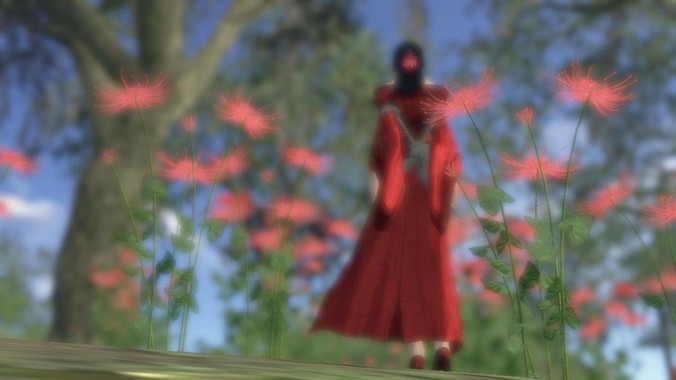 如何评价阿富汗取消与中国的石油开***合同？